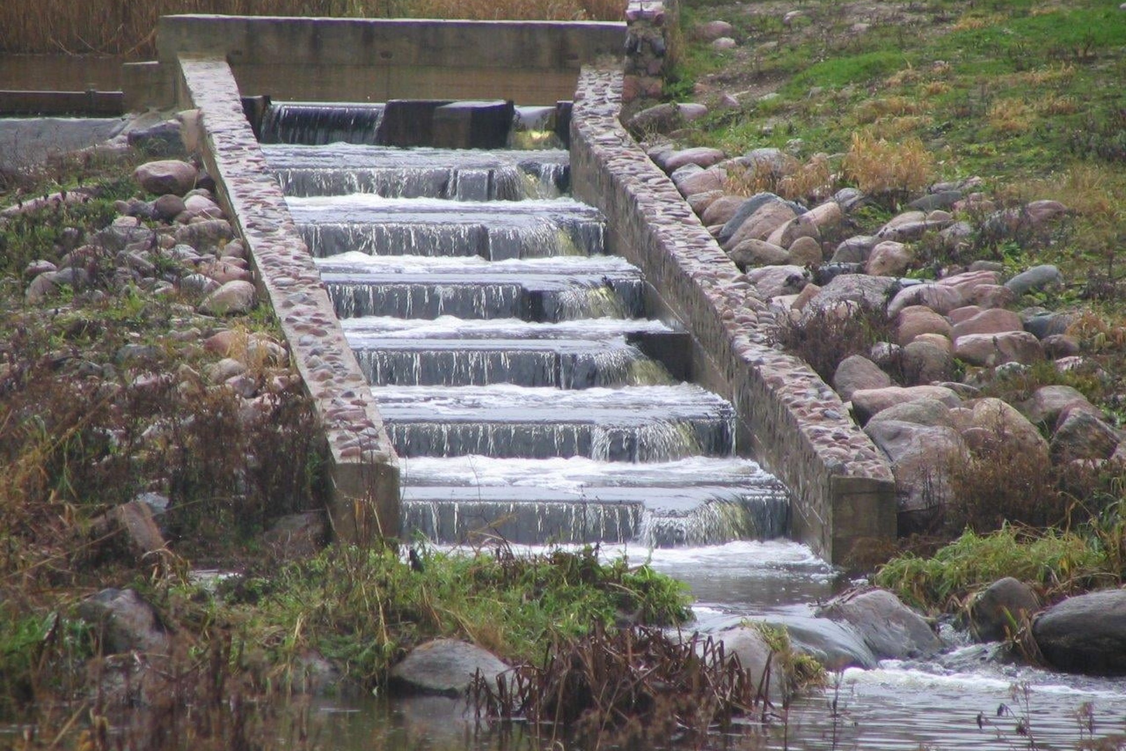 Iliustracija