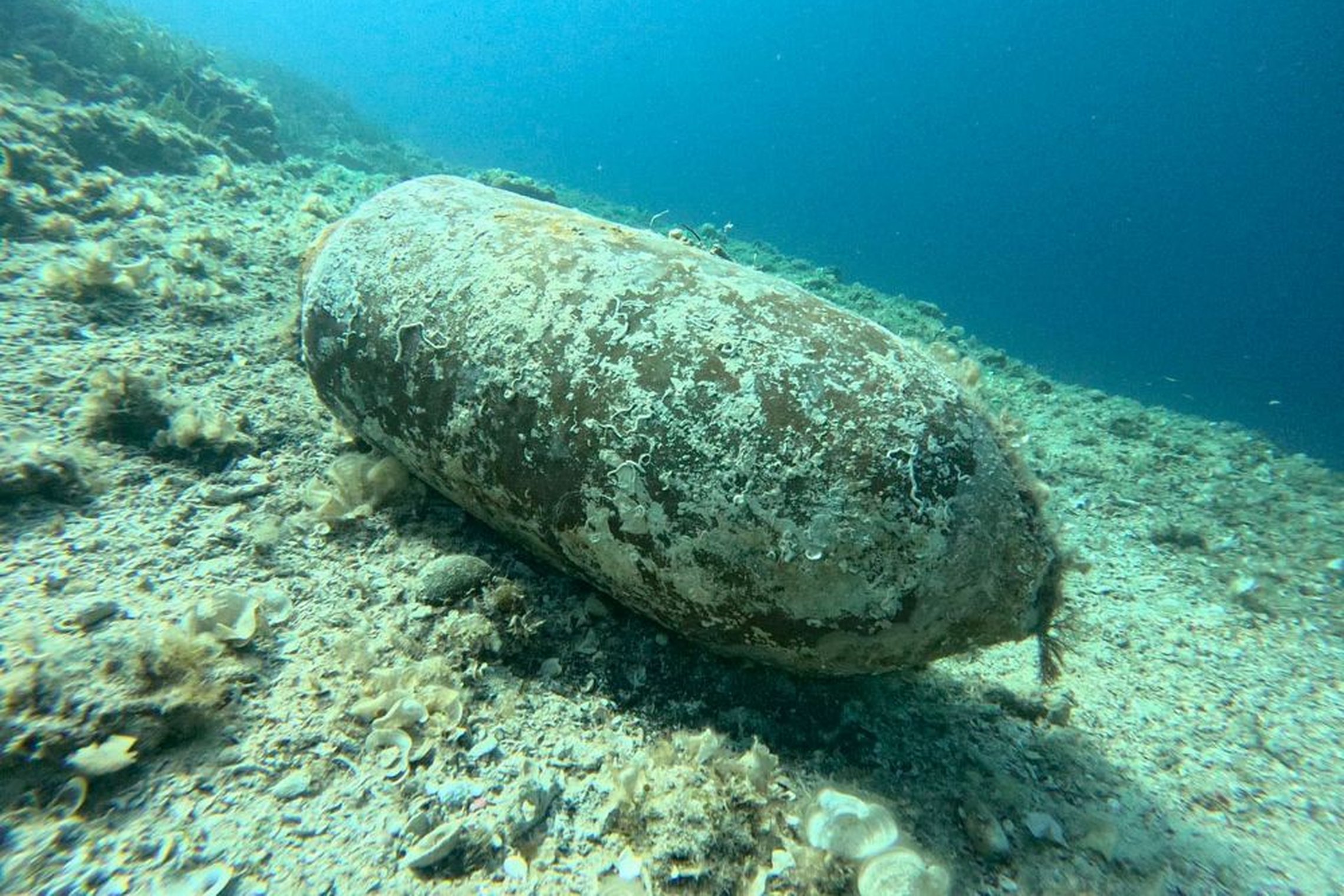 Iliustracija